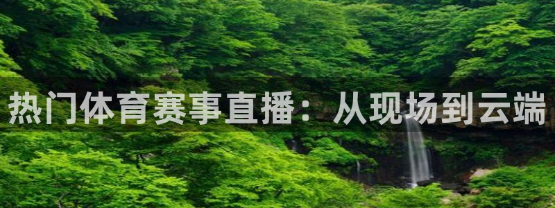 热门体育赛事直播：从现场到云端