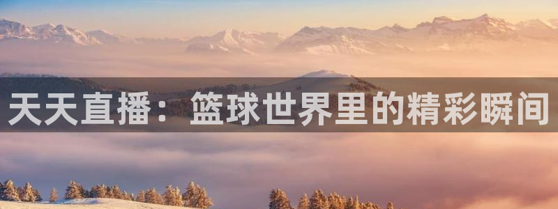 天天直播：篮球世界里的精彩瞬间